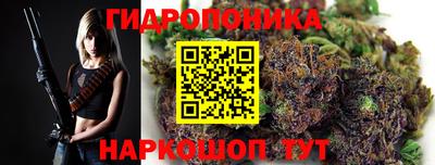 прущие крисы Краснознаменск