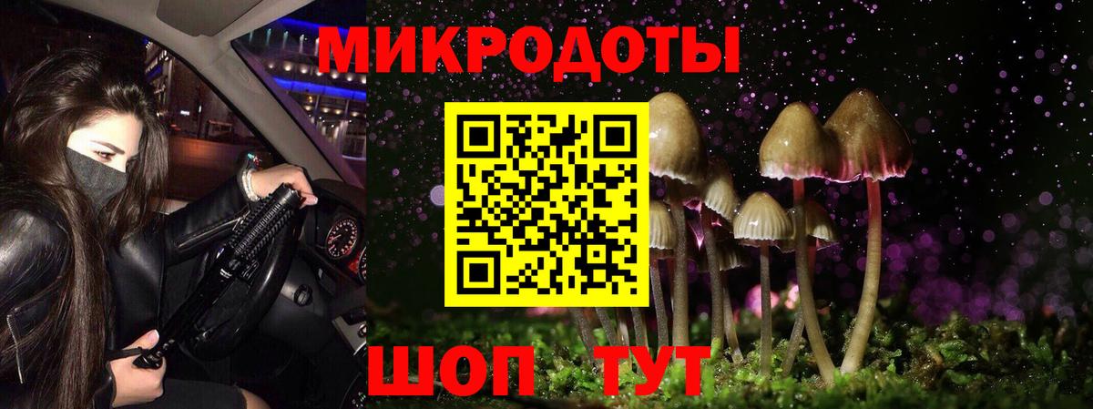 Галлюциногенные грибы прущие грибы  Вход с VPN  Галлюциногенные грибы Psilocybe  Когалым 